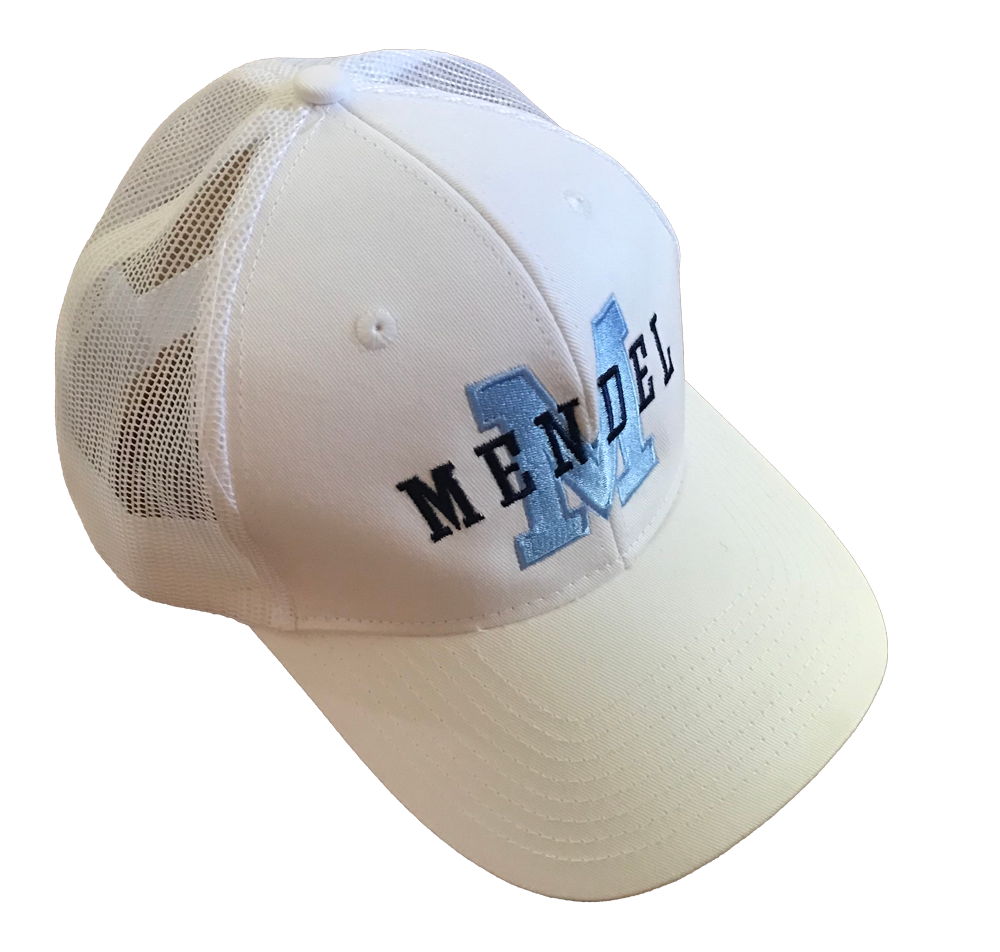 Featured image for “Mendel Hat”